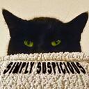 Simply Suspicious Discord Server Icon