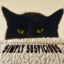 Simply Suspicious