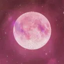 🌙𝓟𝓲𝓷𝓴 𝓜𝓸𝓸𝓷 𝓒𝓸𝓿𝓮𝓷🌸