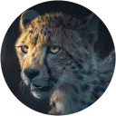Deutsche Furries ltd.
