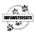 Impawster Cats