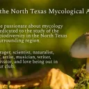 North Texas Mycological Association