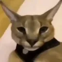 The average Gaming server's icon