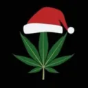 Cabaré Natalino 🎅