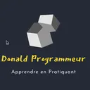 donald programmeur's server