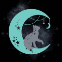 The Cosmic Space