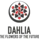 DAHLIA search