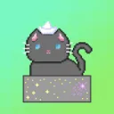 Cat In a Box