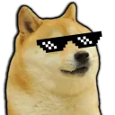 The Doge army