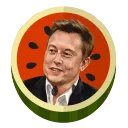 mELON Network