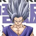 MyBOY server prron