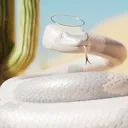 Snake Gang