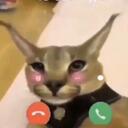server de tu yunicuan't Bv Discord Server Icon