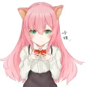 貓窩