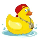 Soak My Duck