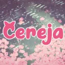 ˚ʚ🍒ɞ City of Cherry