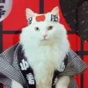 Japonishencheskoye Edenchishko's icon