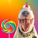 Mister Mainer (Pookie’s Server) icon