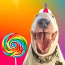 Mister Mainer (Pookie’s Server... Discord Server Icon