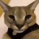heck Discord server icon