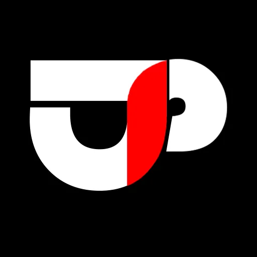 🔸Design Pro🔹 — monitoring Discord server, statistics and rating