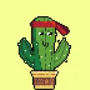 SOLANA Cactus