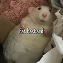 Rat Den