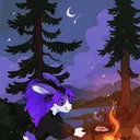 StarGazer Meadow