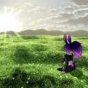 The Meadow