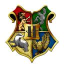 Hogvartsas.LT Discord Server Icon