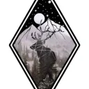 Enhanced Vision Project