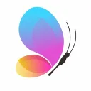🦋 Viola - VLA | Fac