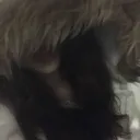 @ /idgaf Discord server icon