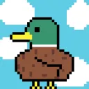 Drippy Ducks NFT