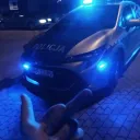 lubie w żółwie