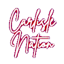CARLISLE NATION Discord Server Icon – Education
