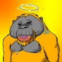 JungleOfChill's server