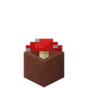 Some other discord server