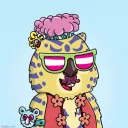 Wombat Paradise Icon