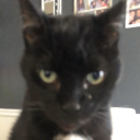 ??? Discord server icon