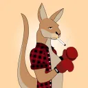 The Kangaroo Joe Experience