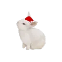 ࿔ 𝐖𝐀𝐖𝐀 ࿔🐰ྀི