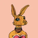Kool Rabbits