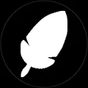 PLUMIN ACADEMY