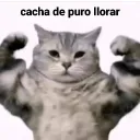 el servidor de Joss