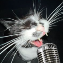 ࿔˚⋆The Hideout⋆˚࿔