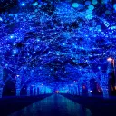 青の洞窟