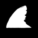 Billionaire Shark Society