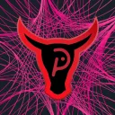 DOT BULLS