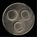 Discovery icon for Swedish House Mafia Discord server